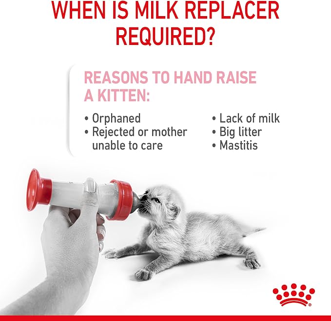 Royal Canin Babycat Milk Powder 300G