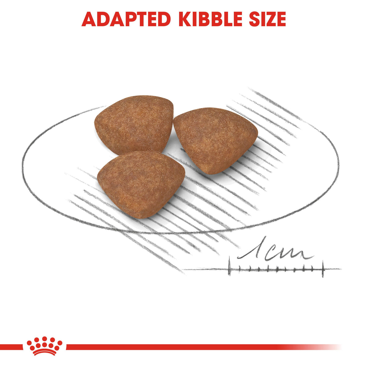 Royal Canin Mini Puppy Dry Dog Food - 4kg