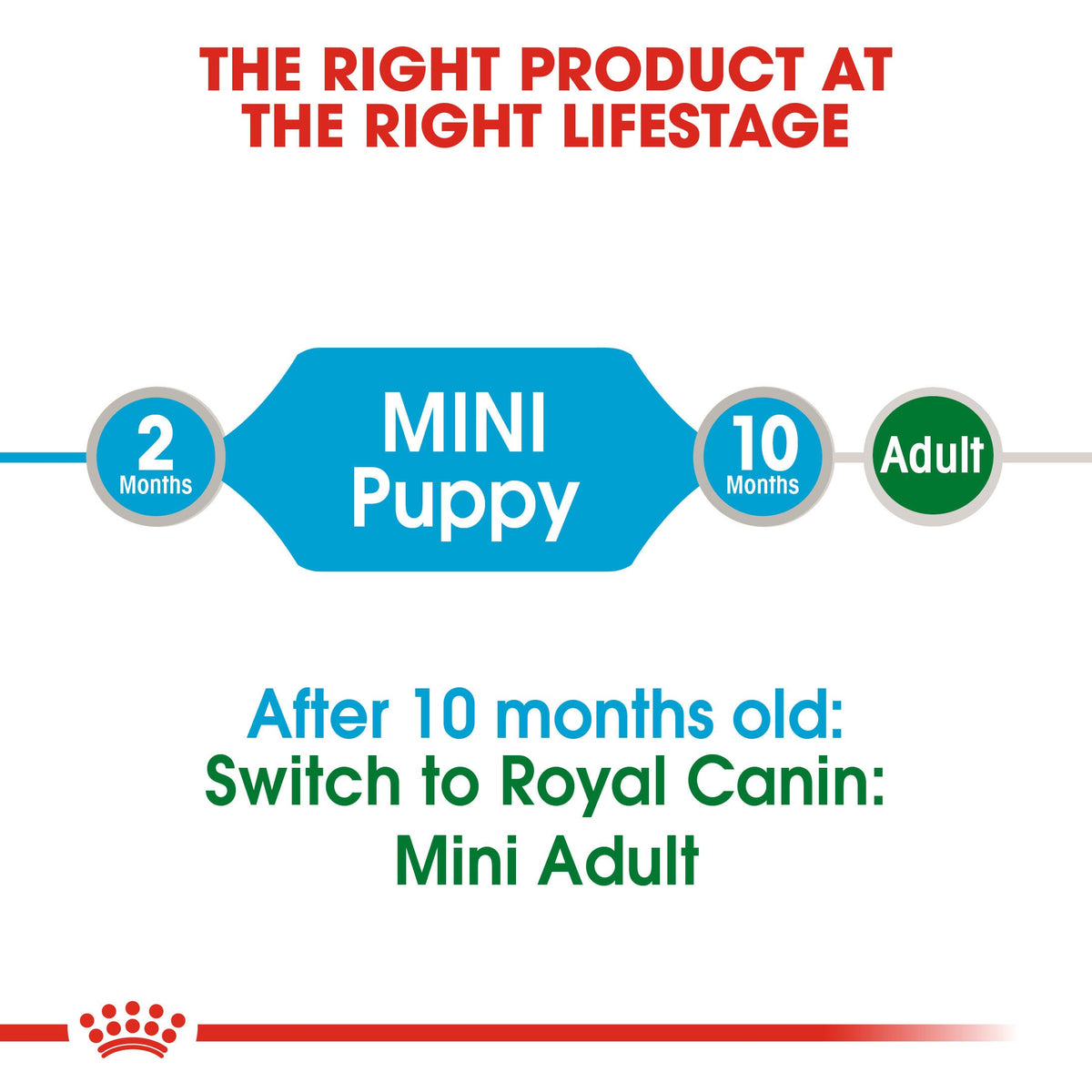 Royal Canin Mini Puppy Wet Dog Food