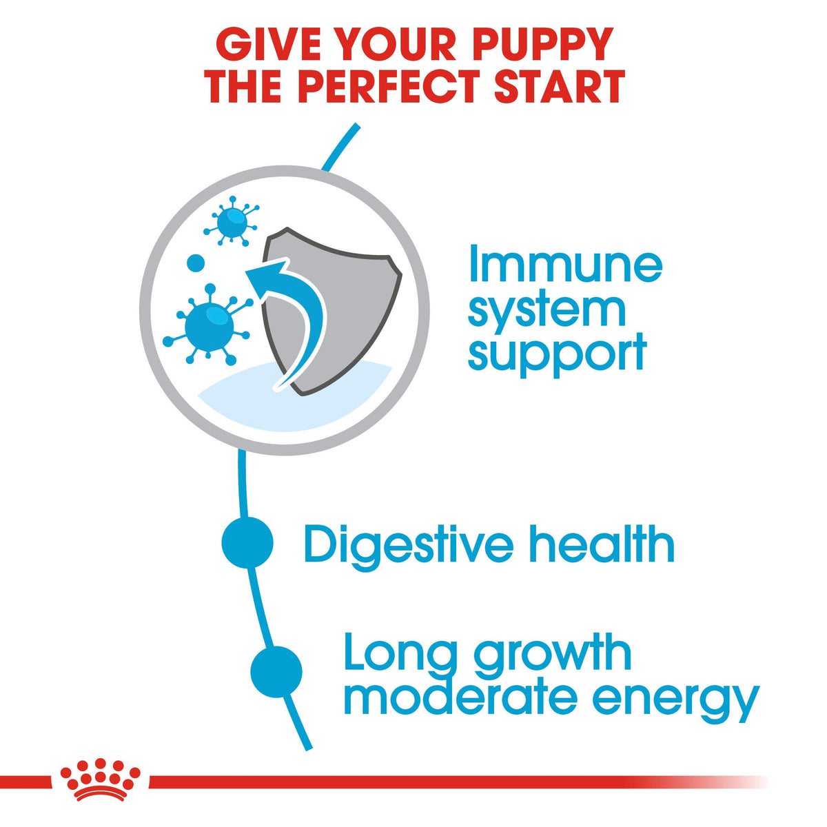 Royal Canin Maxi Puppy Dry Dog Food - 4kg