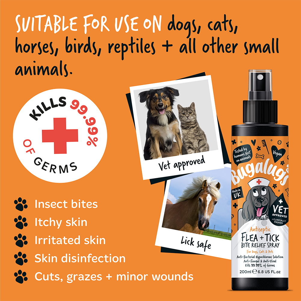 Bugalugs Antiseptic Flea & Tick Bite Relief Spray 200ml (6.8 Fl Oz)
