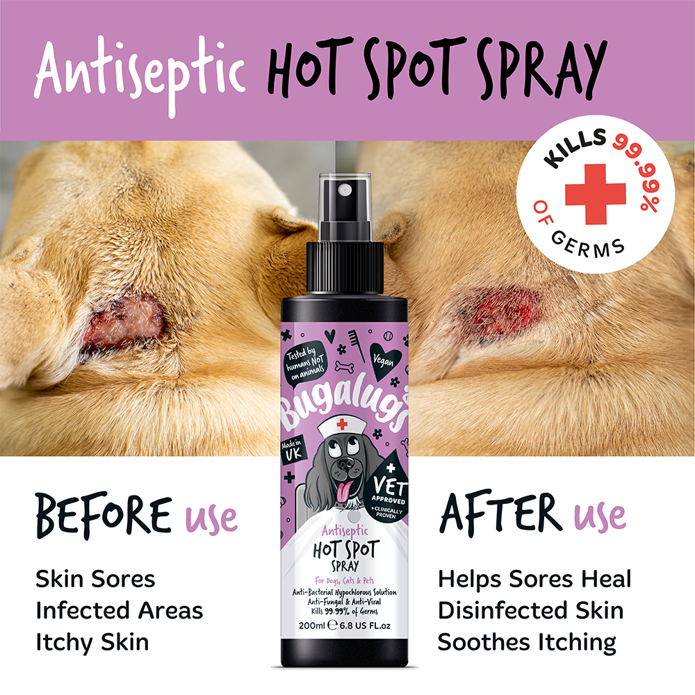 Bugalugs Antiseptic Hot Spot Spray 200ml (6.8 Fl Oz)