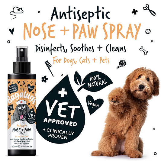 Bugalugs Antiseptic Paw & Nose Spray 200ml (6.8 Fl Oz)