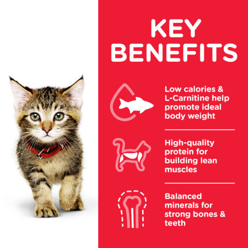 Hill’s Science Plan Kitten Food With Chicken (300g)
