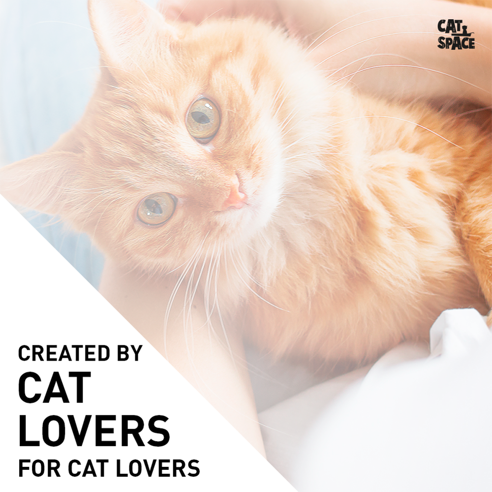 Cat Space Odor Gone Spray 500ml