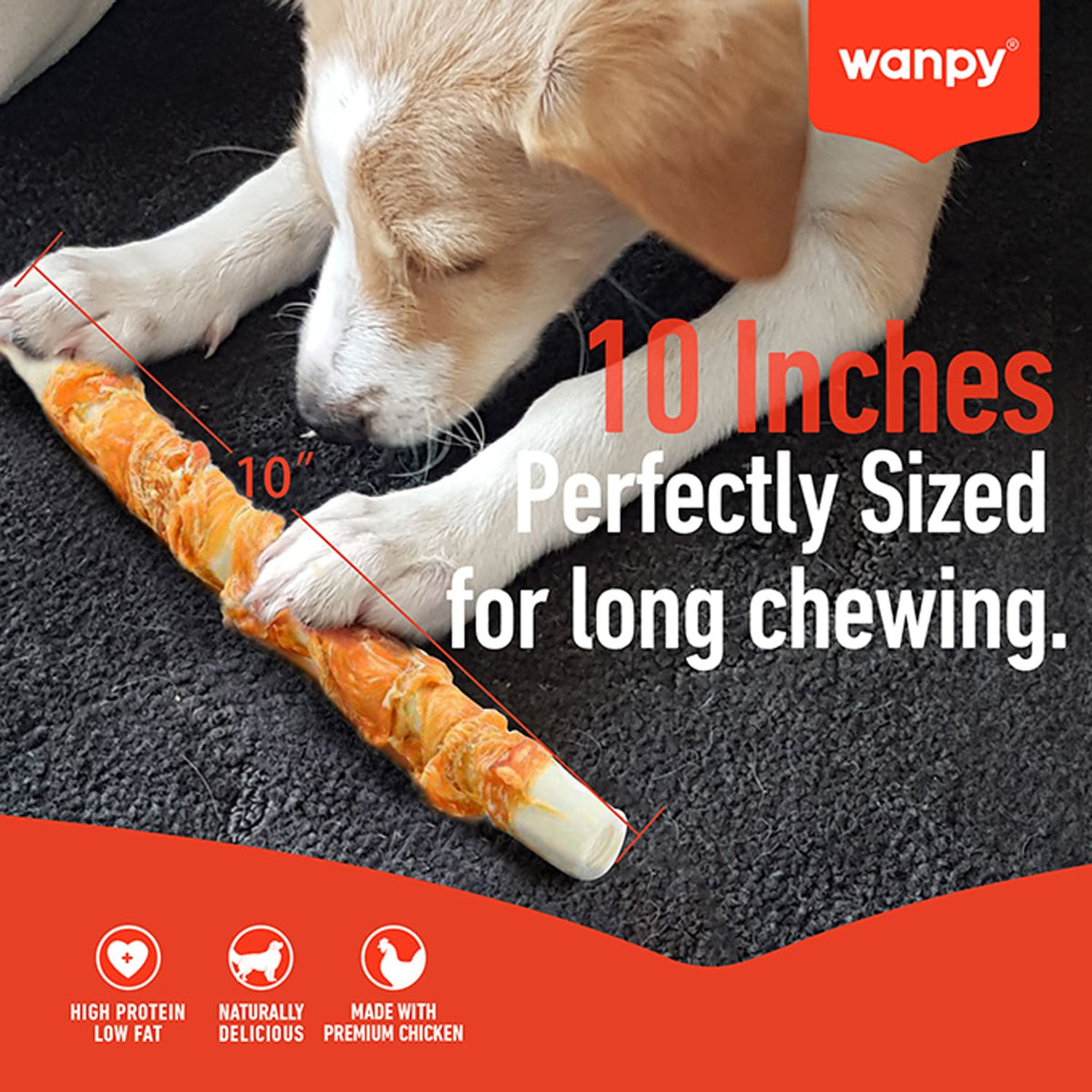 Wanpy Chewy 10" Chicken Jerky & Rawhide Twists 70g