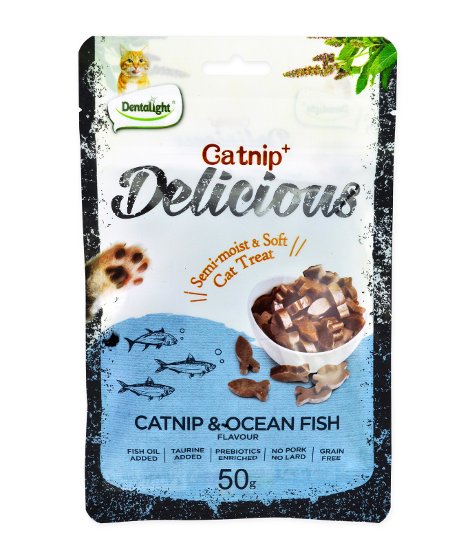 Dentalight Catnip+ Semi Moist & Soft Cat Treat 50g - Catnip & Ocean fish Flavour