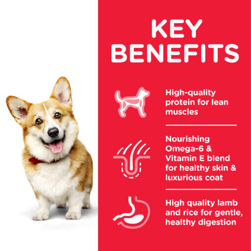 Hill’s Science Plan Small & Mini Adult Dog Food With Chicken (1.5kg)