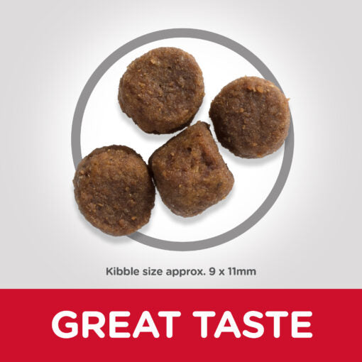 Hill’s Science Plan Medium Puppy Food With Lamb&Rice
