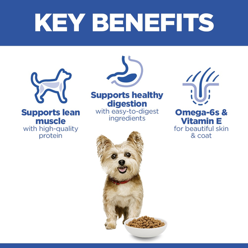 Hill’s Science Plan Small & Mini Adult Dog Food With Chicken