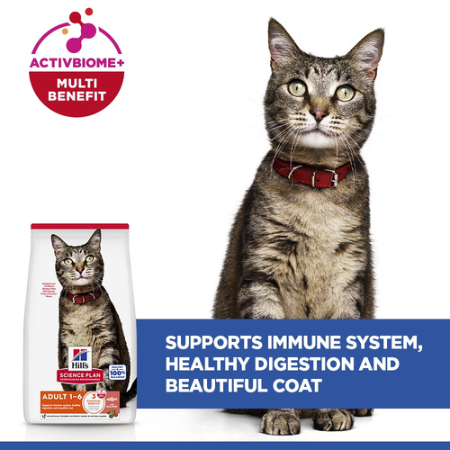 Hill’s Science Plan Adult Cat Food With Salmon (3kg)
