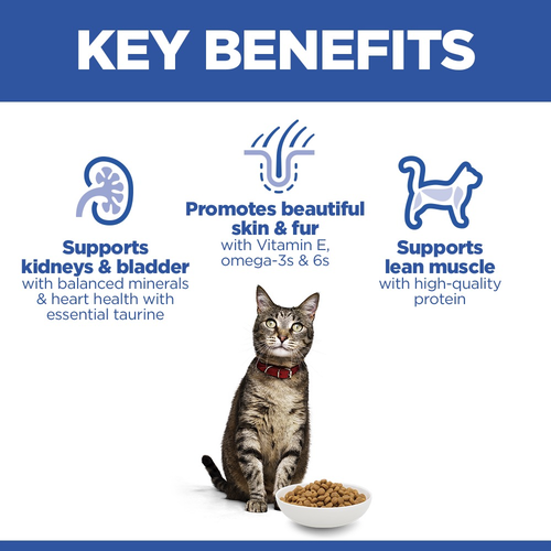 Hill’s Science Plan Adult Cat Food With Salmon (3kg)