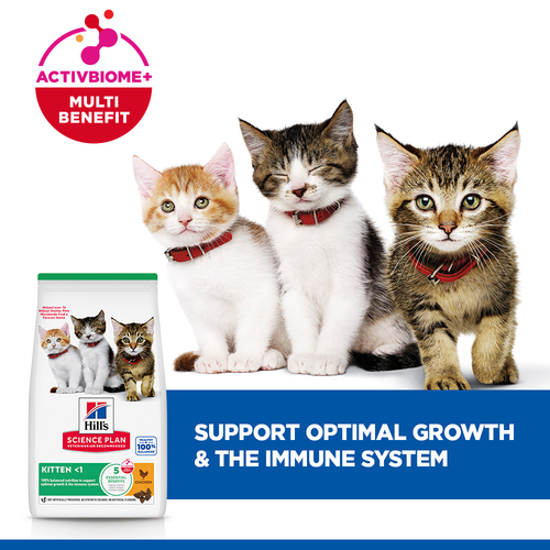 Hill’s Science Plan Kitten Food With Chicken (3kg)