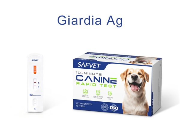 Canine Giardia Antigen Test Kit (1 Test)