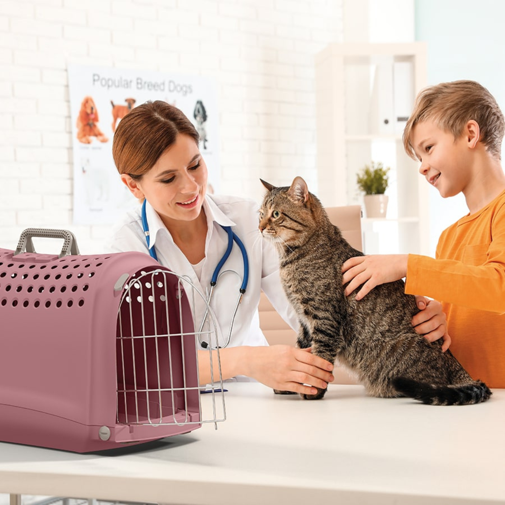IMAC Linus Carrier for Cats and Dogs - 50 x 32 x 34.5cm