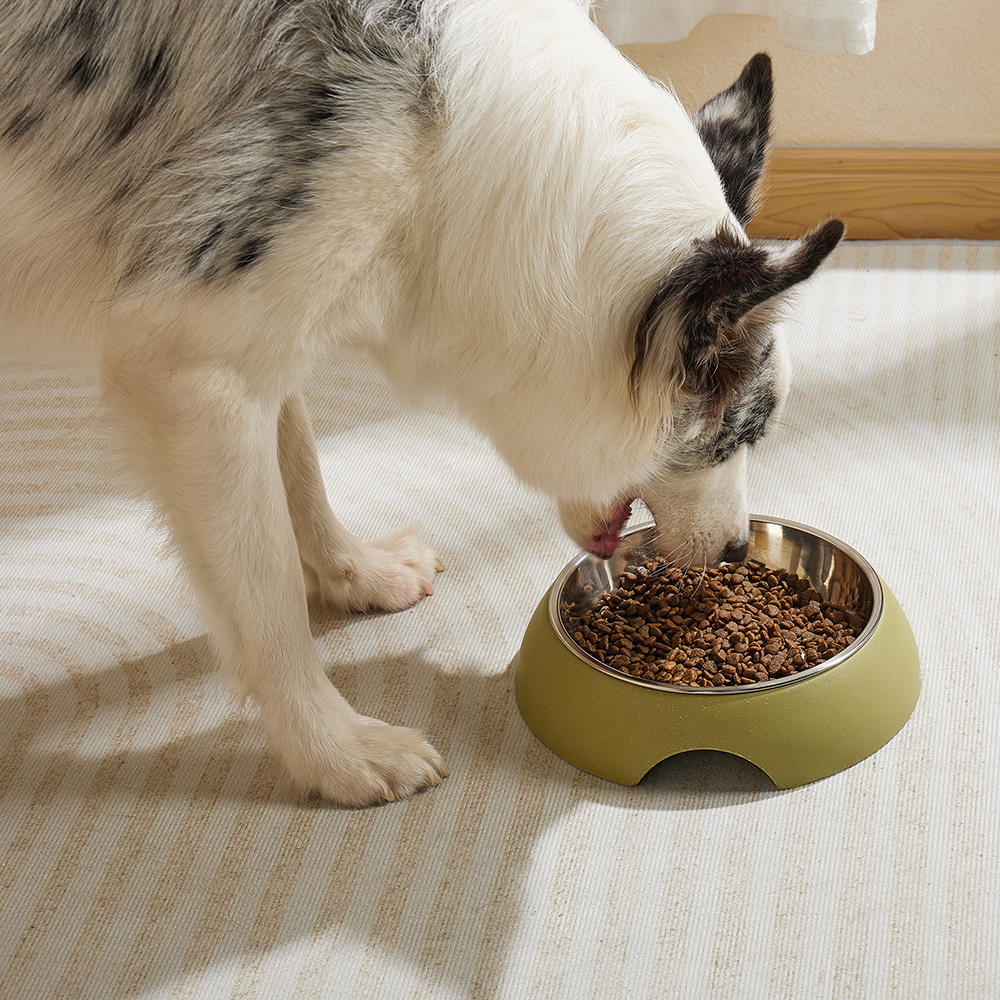M-PETS Eco Bamboo Bowl Olive