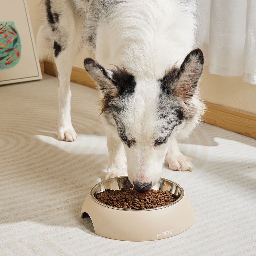 M-PETS Eco Bamboo Bowl Sand