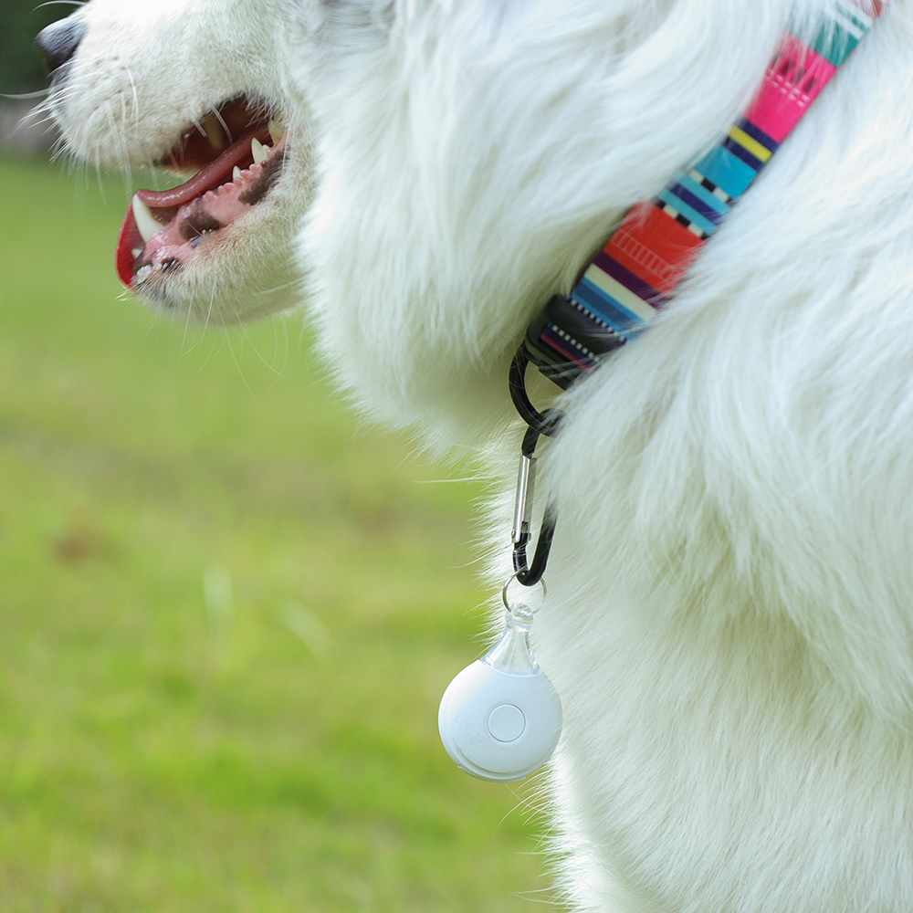 M-PETS Fearless Ultrasonic Tick Repeller White