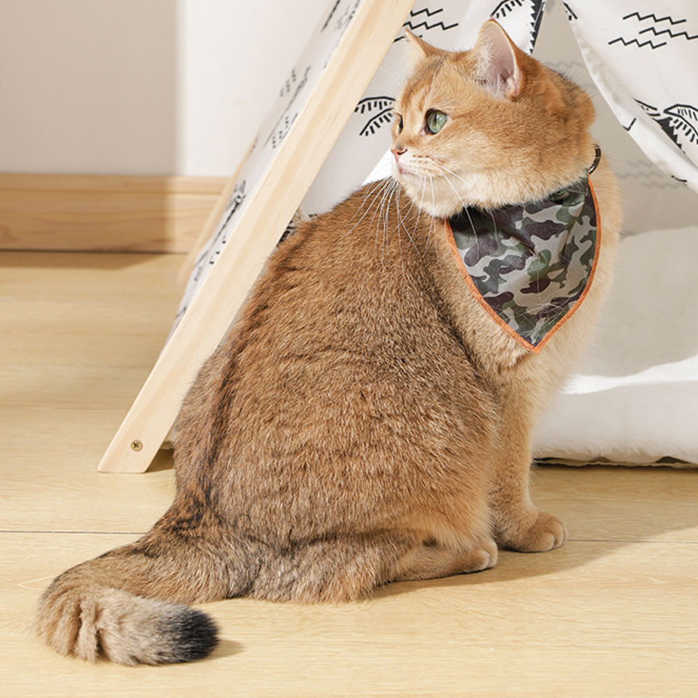 M-PETS Wild Jungle Bandana Collar