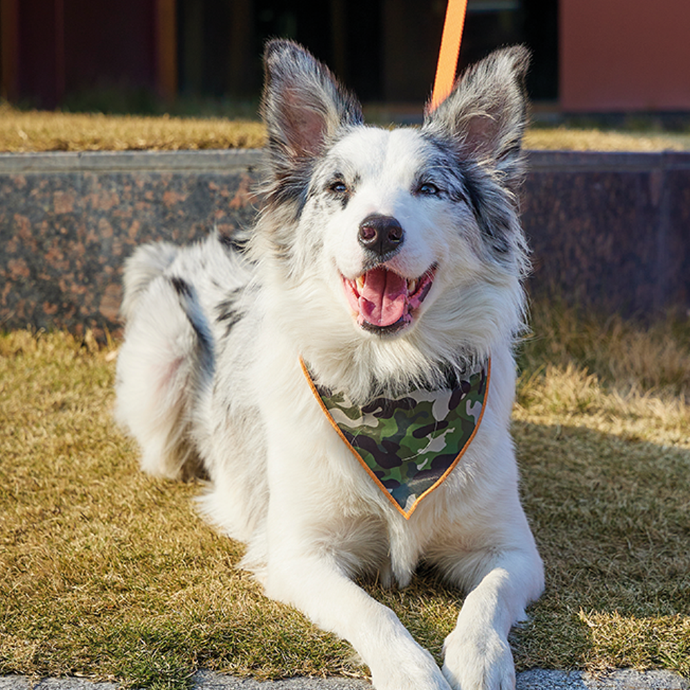 M-PETS Wild Jungle Bandana Collar
