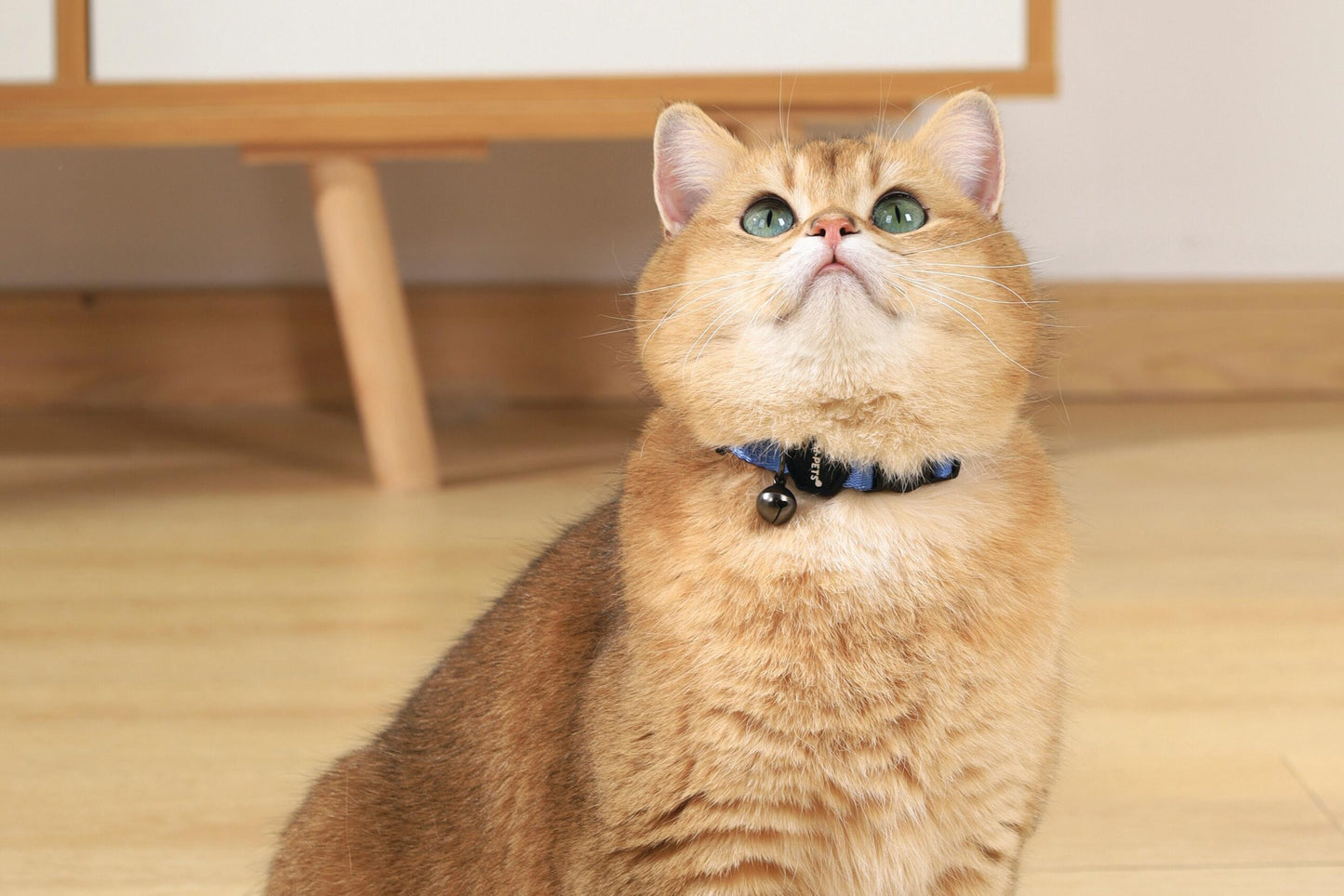 M-PETS Gentle Cat Collar
