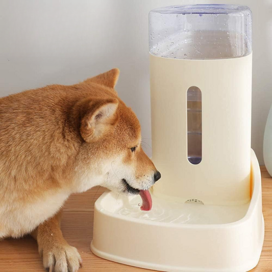 Pado Refresh Water Dispenser- White 3800ml