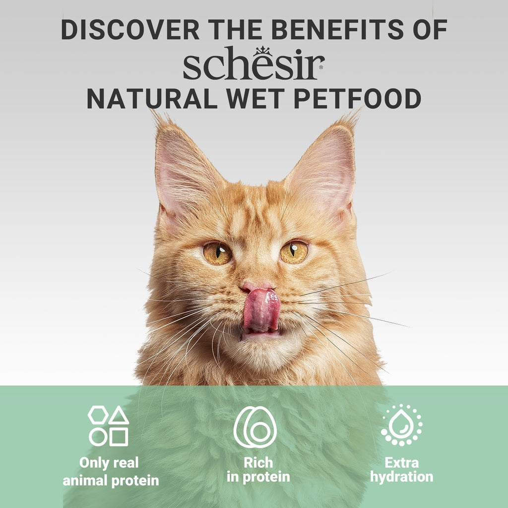 Schesir Complements Cat Wet Food in Broth- Chicken with Beef 70g