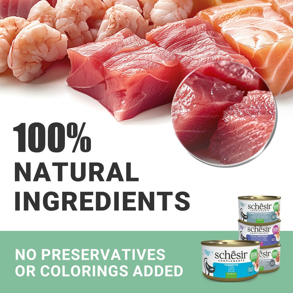 Schesir Complements Cat Wet Food in Jelly Can- Chicken With Seabass 70g