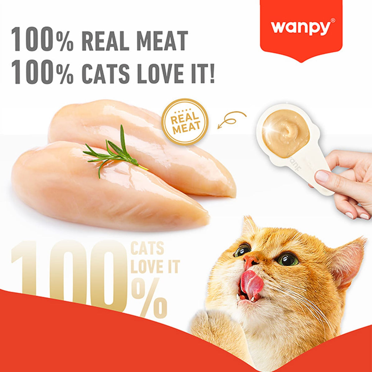 Wanpy Lickable Cream Spoon - Salmon For Cat - (16g x 10pcs/box)