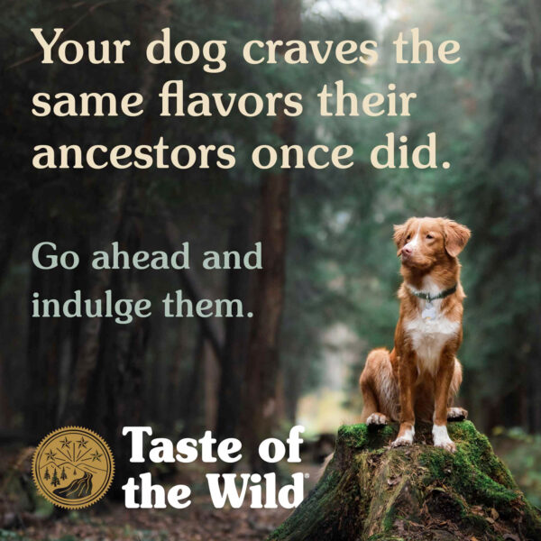 Taste of the Wild Pacific Stream Puppy Recipe