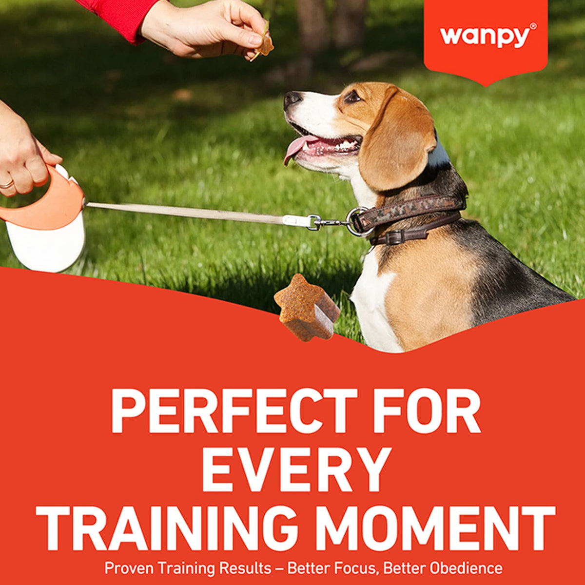 Wanpy Training Bites Lamb Recipe 100g