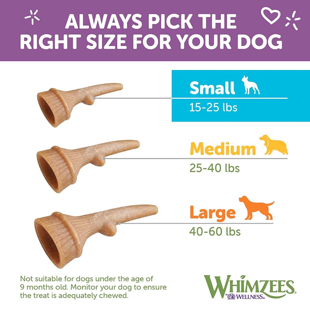 Whimzees Occupy Antler Natural Dental Chews for Dogs - Medium (12pc)