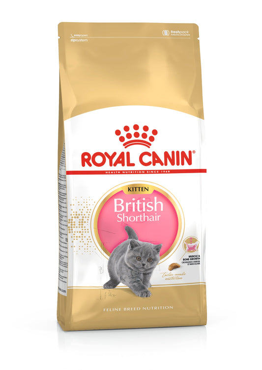 Royal Canin British Shorthair Kitten Dry Cat Food - 400g