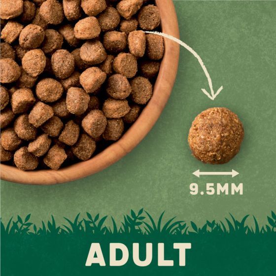 Harringtons Complete Salmon & Potato Adult Dry Dog Food 1.7Kg