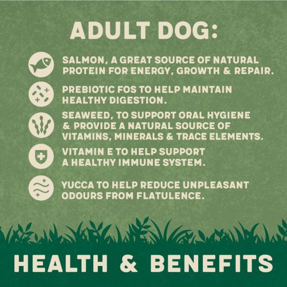 Harringtons Complete Salmon & Potato Adult Dry Dog Food 1.7Kg