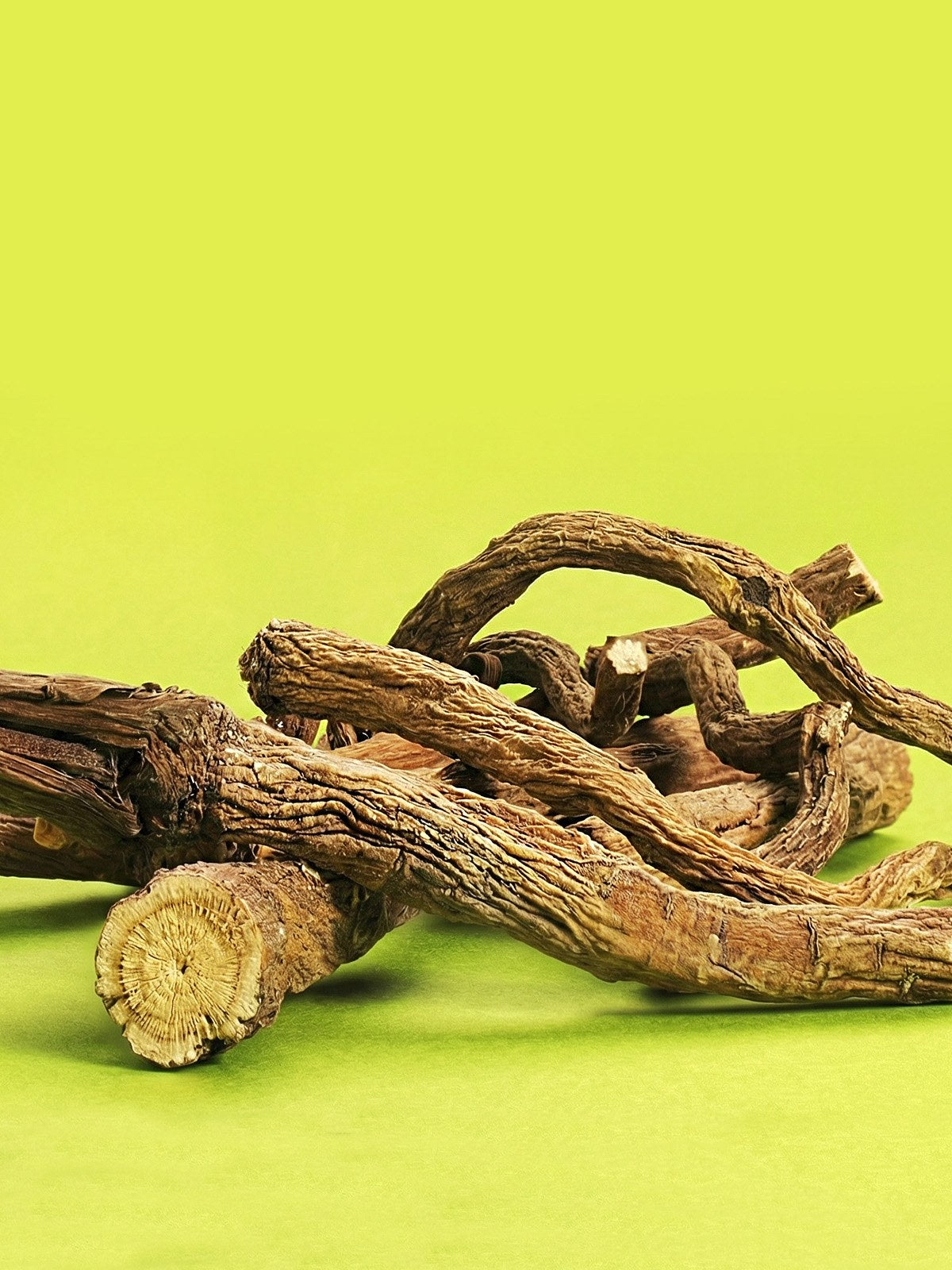 Little One snack Dandelion root 35g