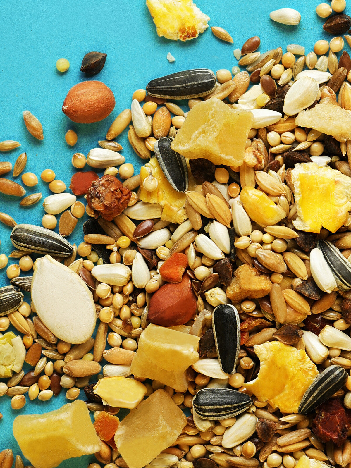 RIO Daily food for Conures and Quakers 1kg