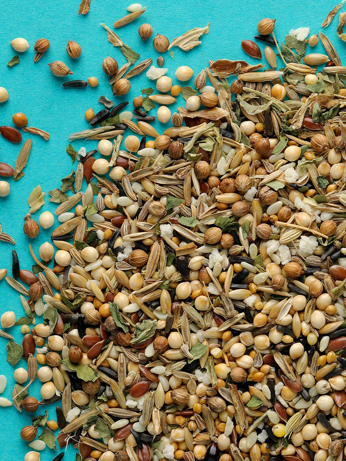 RIO Healthy Seeds Natural treat for all birds 240g