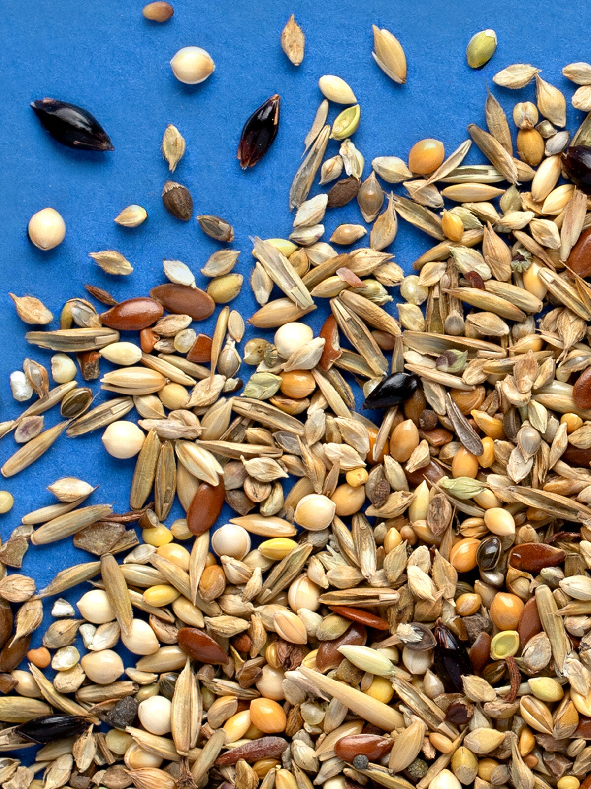 RIO Wild Seeds Mix Natural treat for all birds 240g