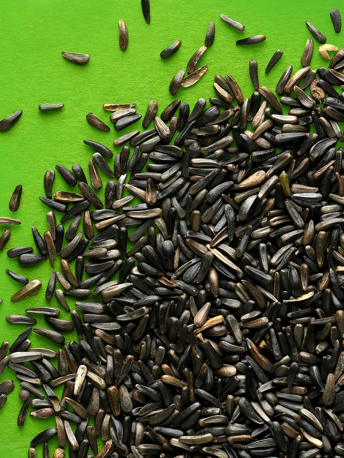 RIO Niger Seeds Treat for all birds 250g