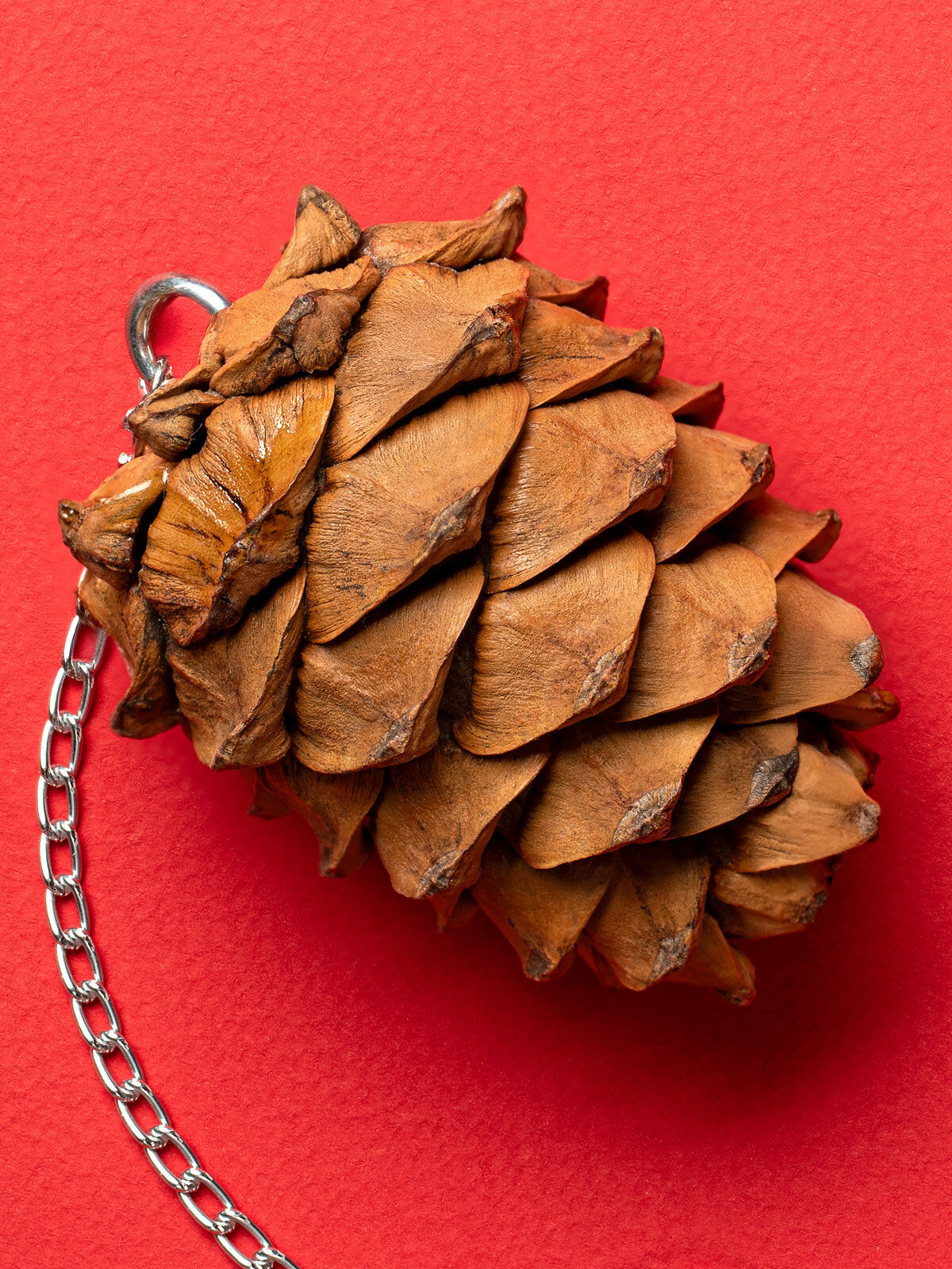 RIO Cedar cone treat-toy for birds