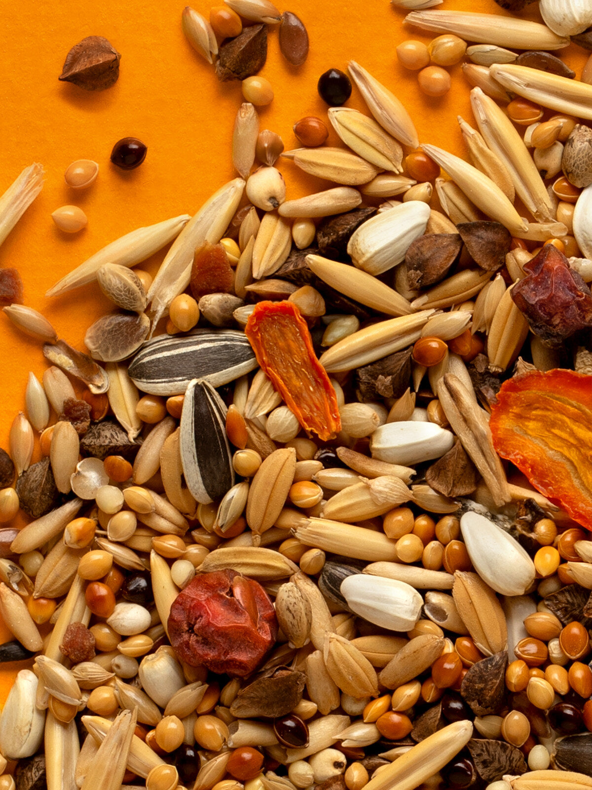 RIO Daily food for Parakeets 1kg