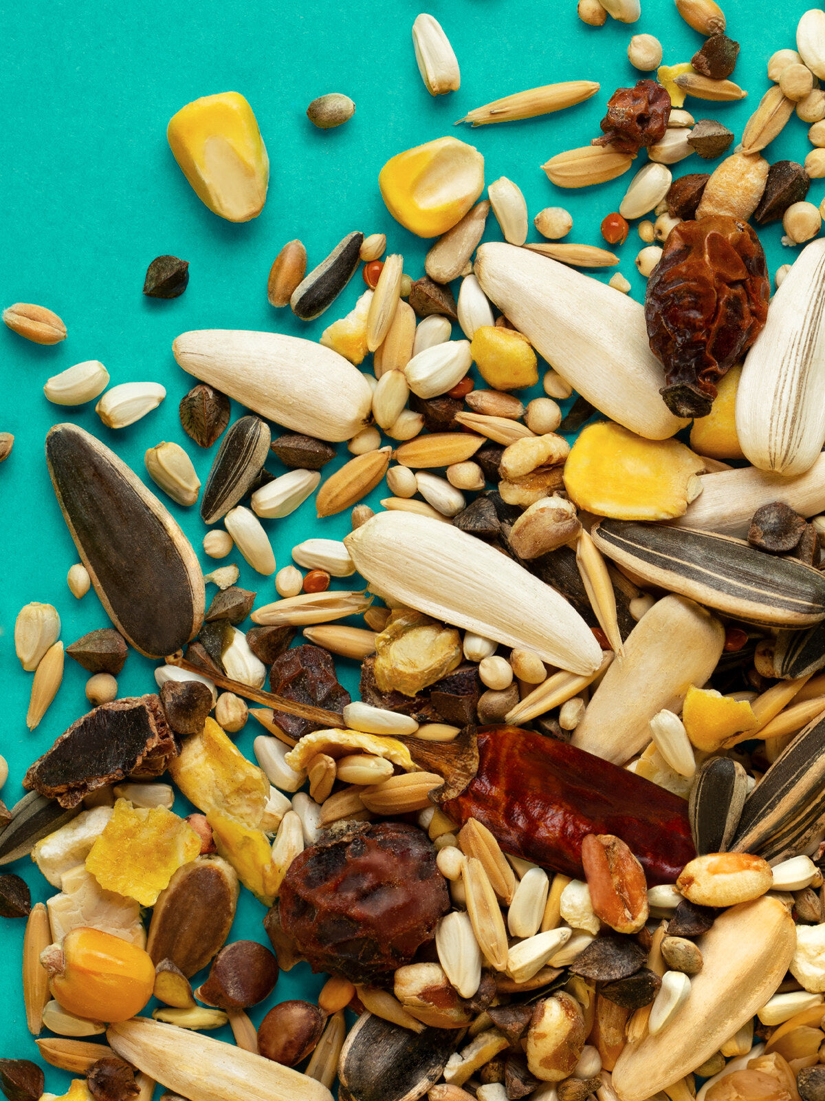 RIO Daily food for Parrots 1kg