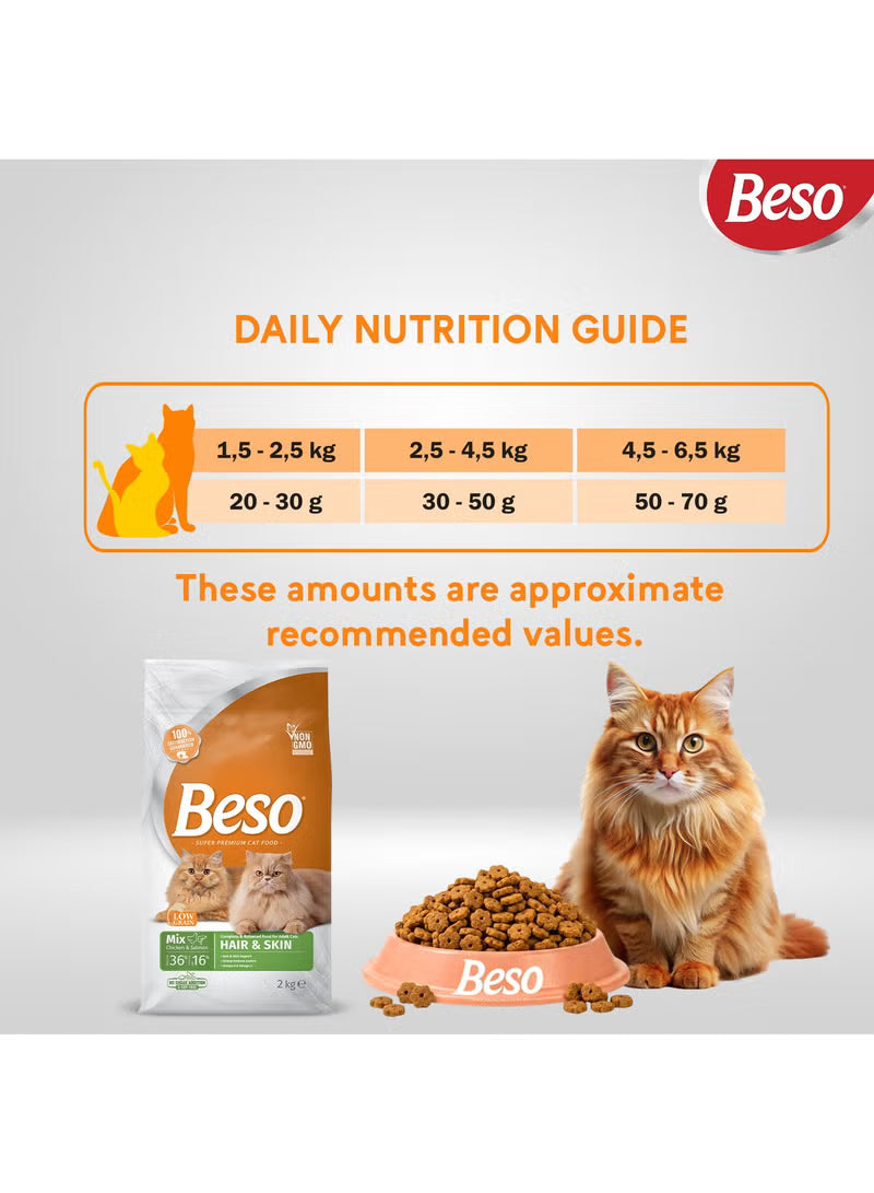 Beso Hair and Skin, Mix Chicken and Salmon Cat Food, 2 kg