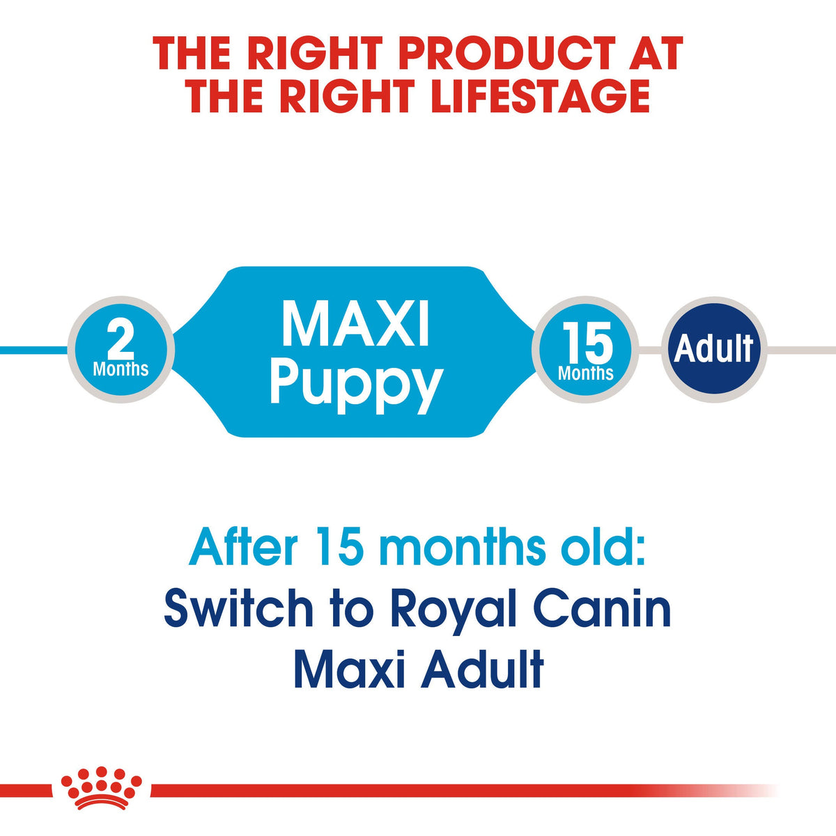Royal Canin Maxi Puppy Dry Dog Food - 10kg