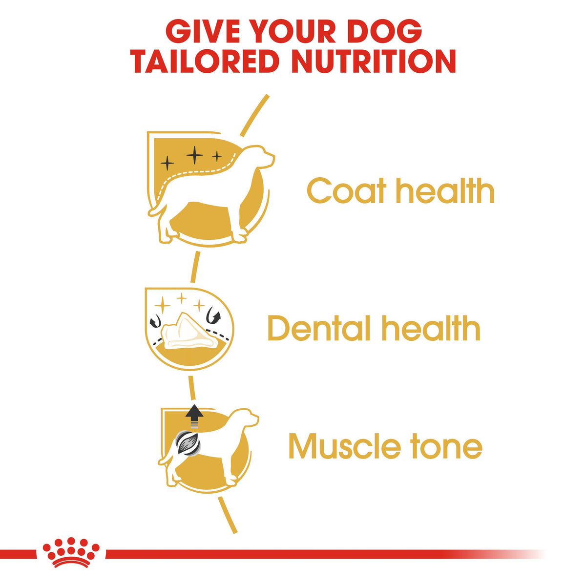 Royal Canin Poodle Adult Dry Dog Food - 3kg