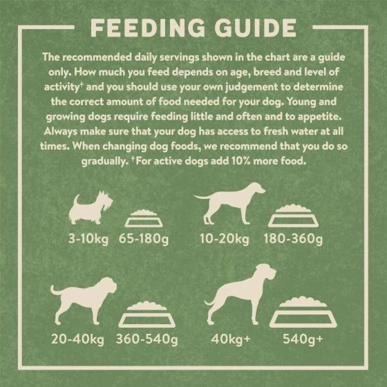 Harringtons Complete Salmon & Potato Adult Dry Dog Food 1.7Kg