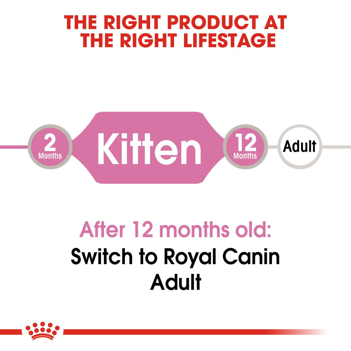 Royal Canin Kitten Gravy Wet Cat Food - 12 x 85g