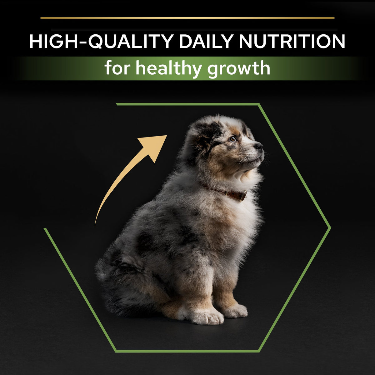 Purina Pro Plan Healthy Start Medium Puppy, Dry Dog food with Chicken, 3 kg