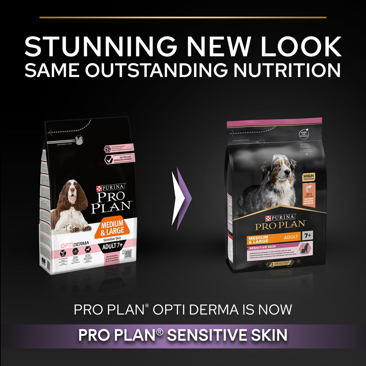 Purina Pro Plan Sensitive Skin Medium and Large Senior 7+, Dry Dog food with Salmon, 3 kg